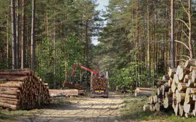 Samverka kring kompetensförsörjning inom gröna näringar