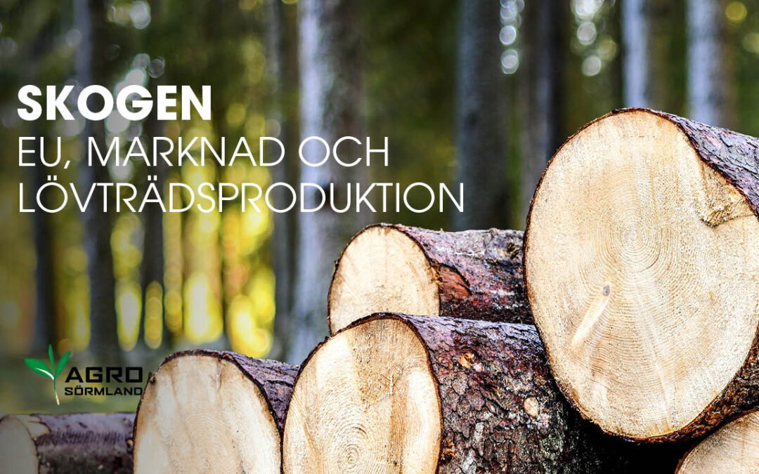 Skogen – EU, marknad och lövträdsproduktion