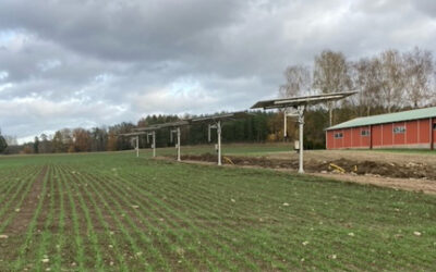 Nulägesrapport: Self Sustainable Farm