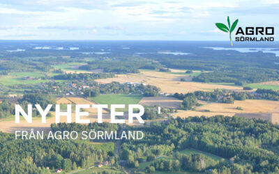 Nyhetsbrev över senaste kvartalet