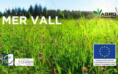 Mer vall – nytt projekt