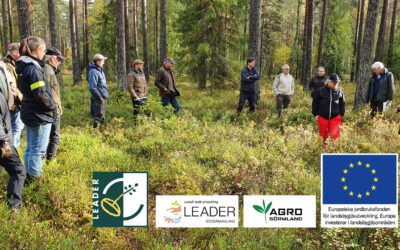 Workshop med Framtidens viltförvaltning