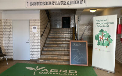 Nya affärer i skogen – seminarium
