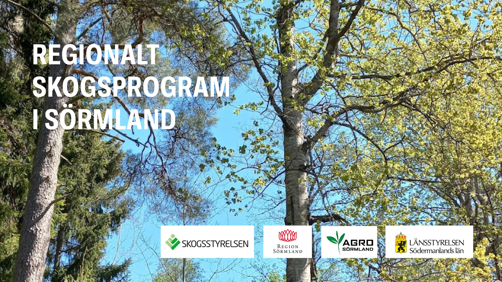 Regionalt skogsprogram Sörmland