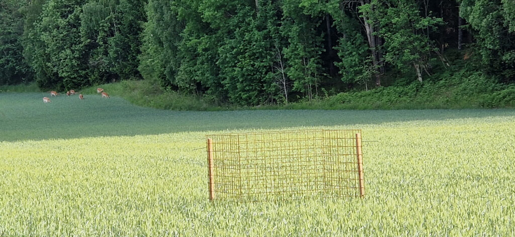 RIMS bild med hjortar