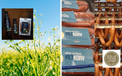 MälarChark och Camelina of Sweden, deltagare i Affärskraft i ÖMS