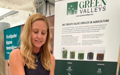Green Valleys