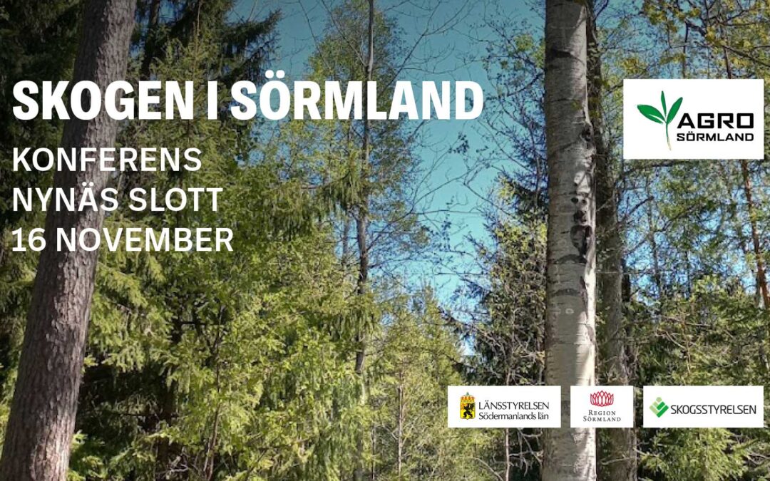Hela programmet – Skogen i Sörmland 2023