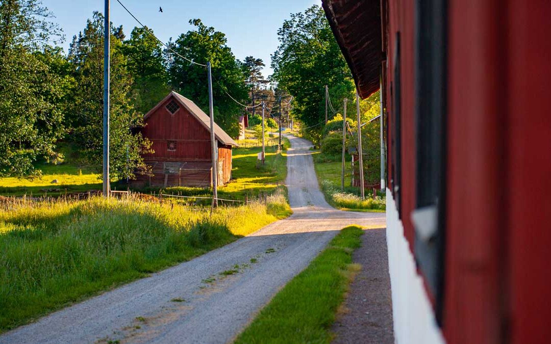 Ny investeringsplattform för lantbruket