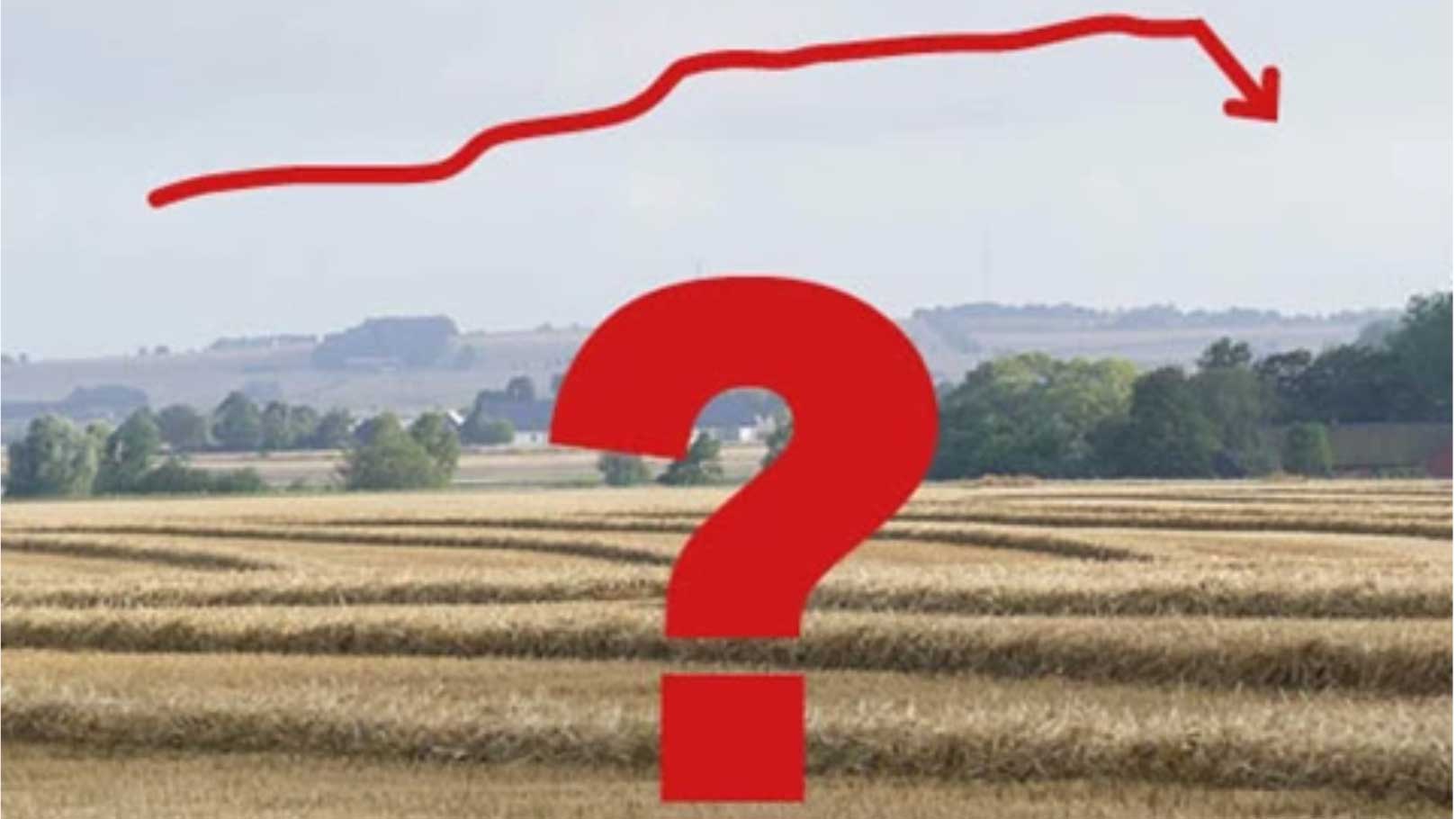 Mark- och arrendepriser 2024. Vad ska vi förvänta oss av framtiden?