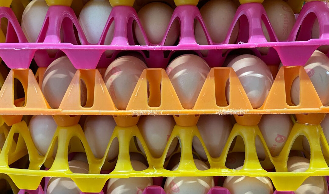 Vart tar pengarna i livsmedelskedjan vägen?