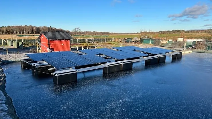 Fika med företag – Flytande solcellsparker