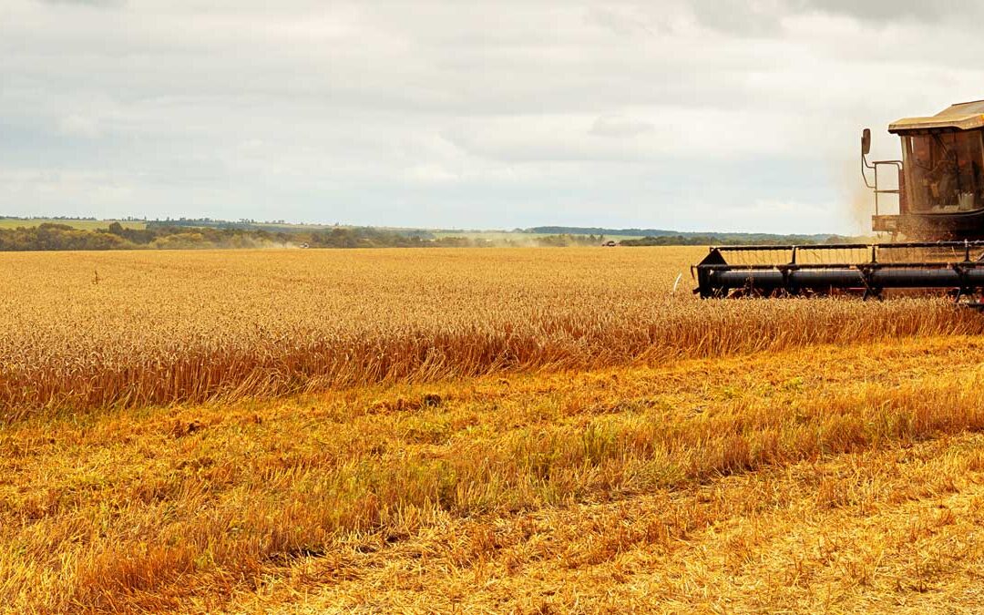 Vilka regler och villkor hindrar oss från att nå målen i livsmedelsstrategin?