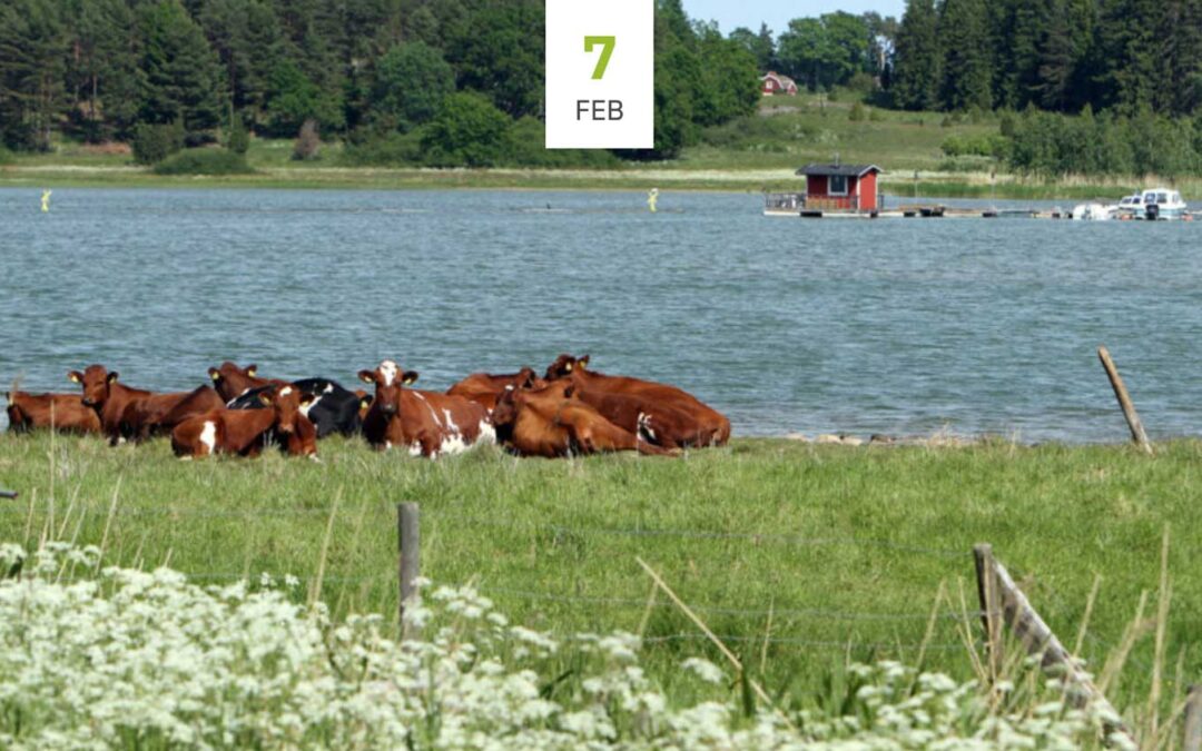Lantbruket, samhället och den biologiska mångfalden
