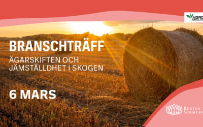 Branschträff 2024 – 6 mars