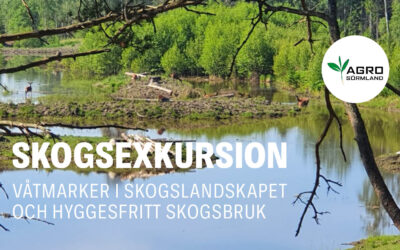 Skogsexkursion 19 mars