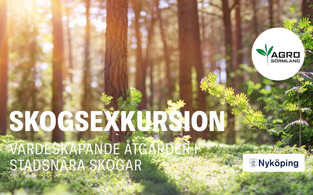 Skogsexkursion, stadsnära skogsbruk