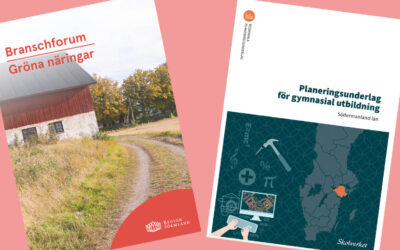 Kompetensförsörjning – ett pågående arbete