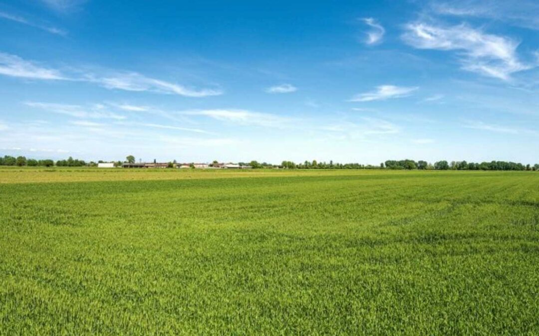 Inför växtodlingsåret 2024