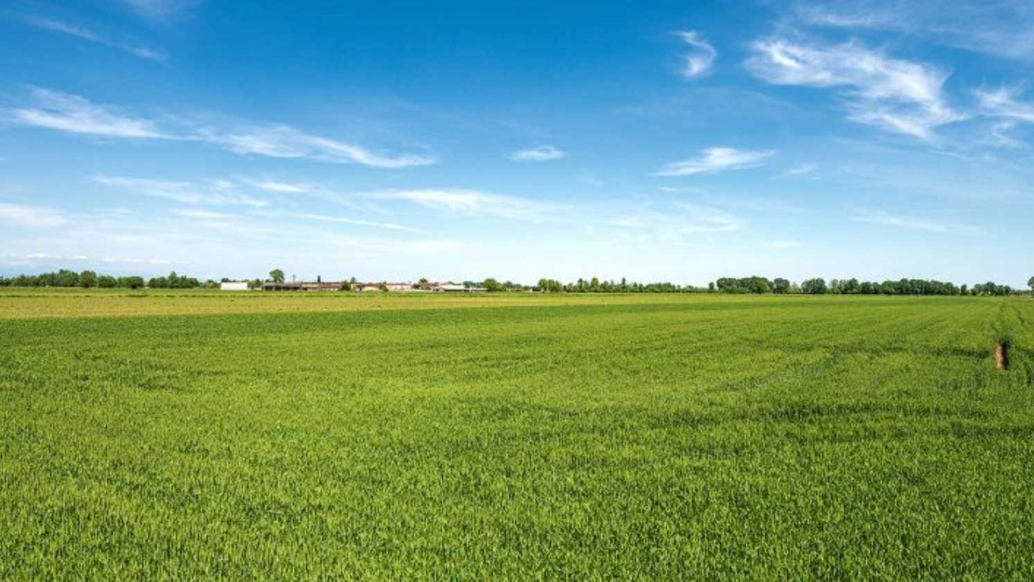 Inför växtodlingsåret 2024