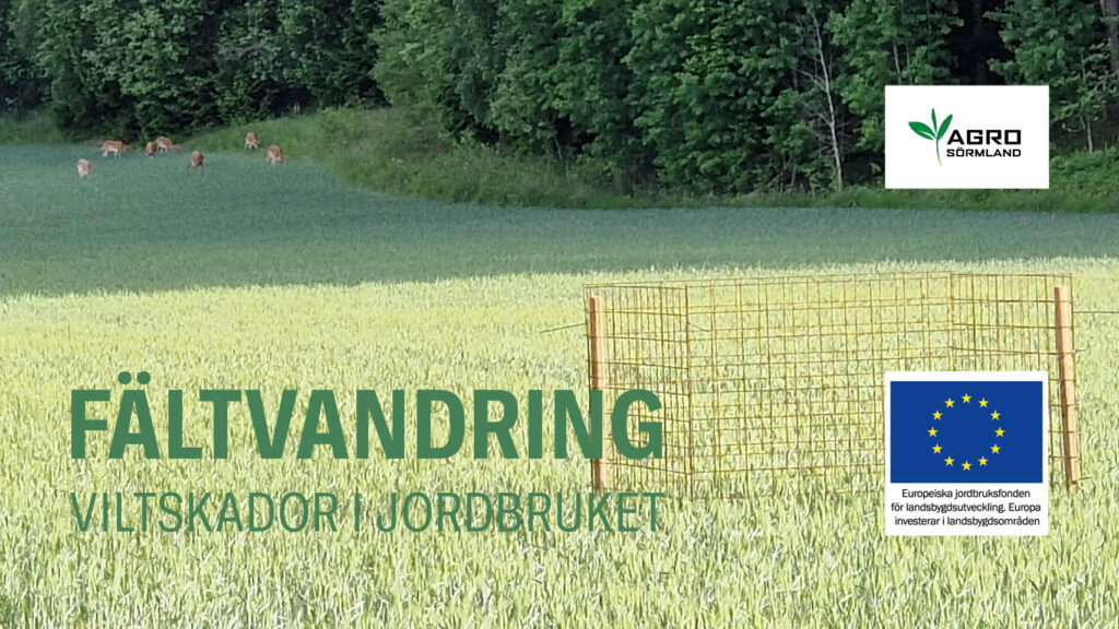 RIMS Fältvandring om vilskador