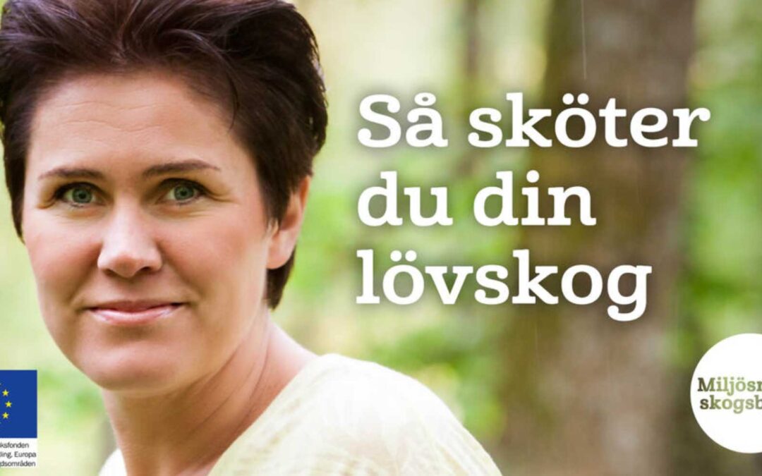 Skötsel av lövskog