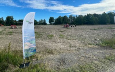 Mer om vad vi såg i groparna på fältdagen Mer vall