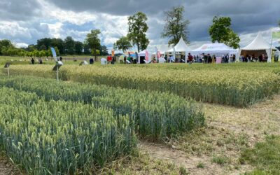 Projekt Smarta energilösningar – AgTech och AgroÖst tillsammans på Brunnby