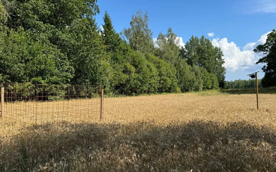 RIMS skördetid