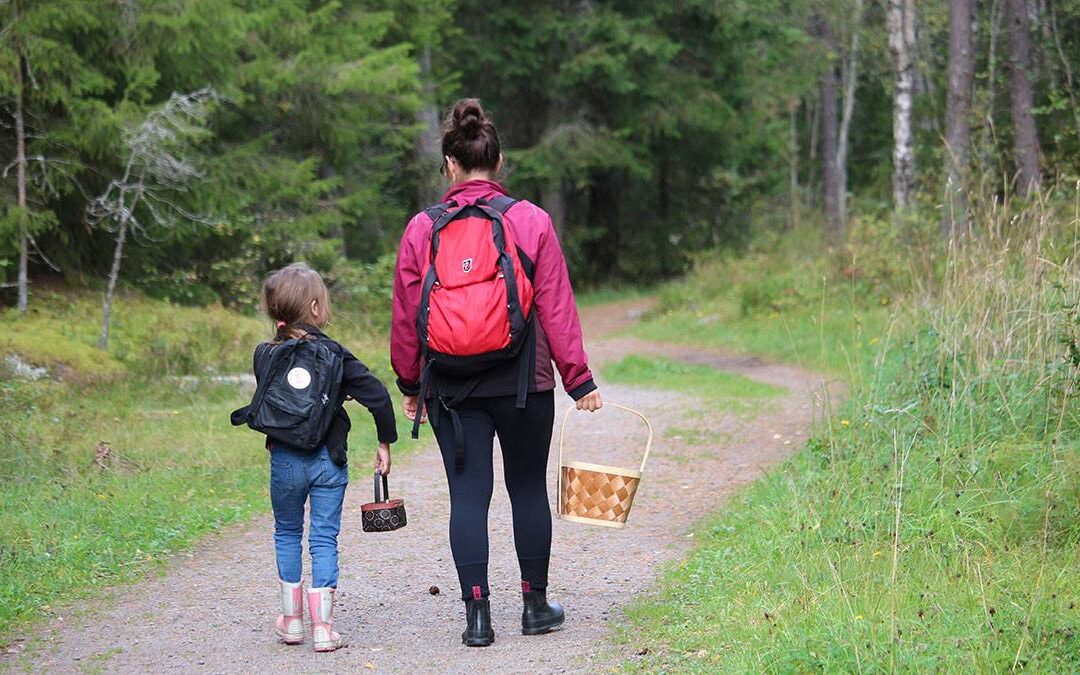 Kommunskogsdagarna 2024