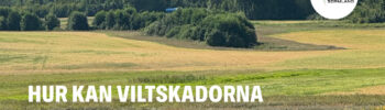 Hur kan viltskadorna minska i jordbruket?