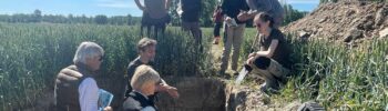 Mer vall = mer kol i marken