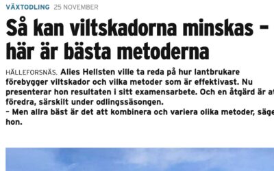 Det är roligt när vårt arbete uppmärksammas!