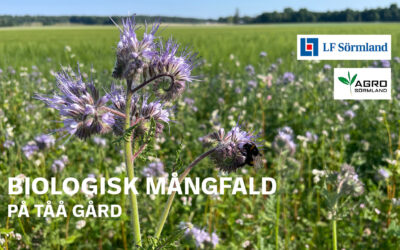 Film – biologisk mångfald på Tåå gård