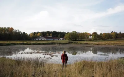 Nytt beredskapsstöd för Sveriges lantbrukare