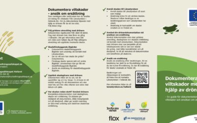 Bevisa skador i fält – folder
