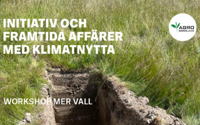 Initiativ och framtida affärer med klimatnytta