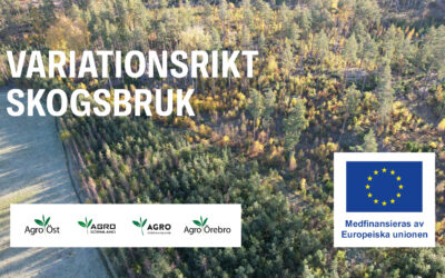 Nytt utvecklingsprojekt – Variationsrikt skogsbruk