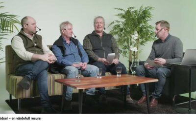 Stallgödsel, webbinarium att se på YouTube