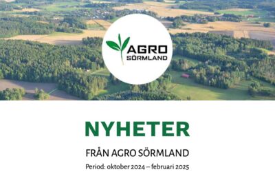 Nyhetsbrev period okt 2024 – feb 2025