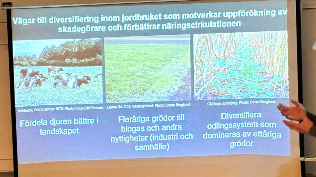 Räkna med mer vall