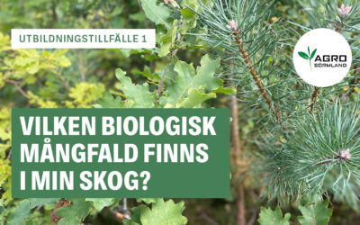 Utbildningstillfälle och fältdag – biologisk mångfald i din skog