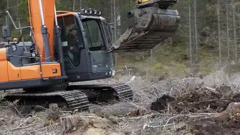 Återvätning och hyggesfritt skogsbruk