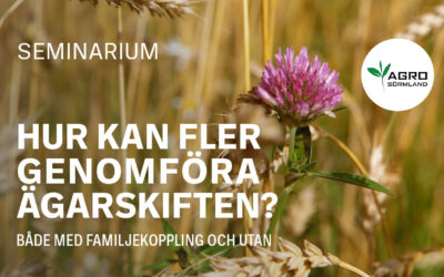 Hur kan fler genomföra ägarskiften? Seminarium