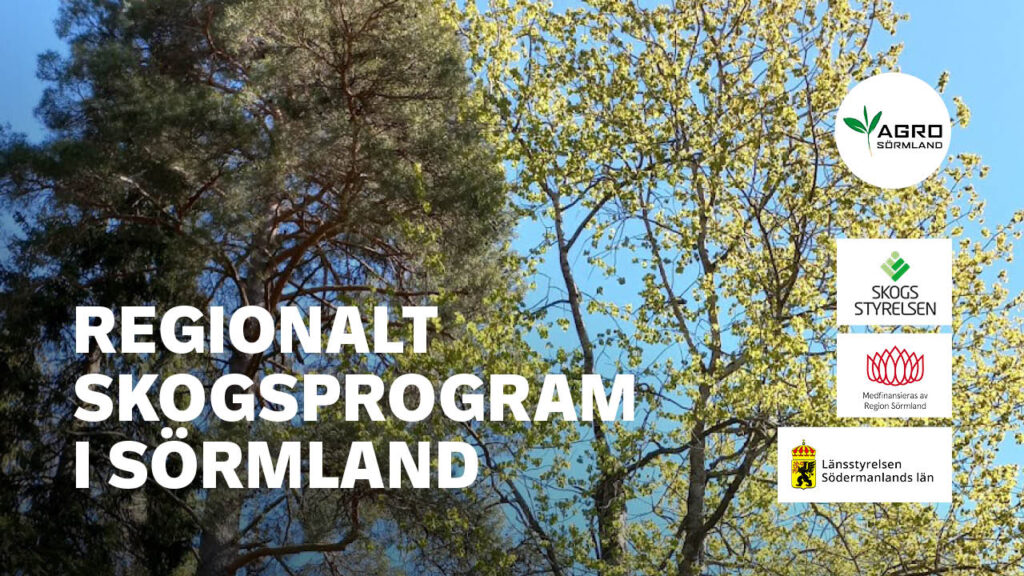 Regionalt skogsprogram