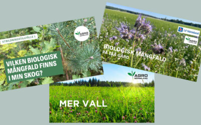 Den 22 maj är det den biologiska mångfaldens dag