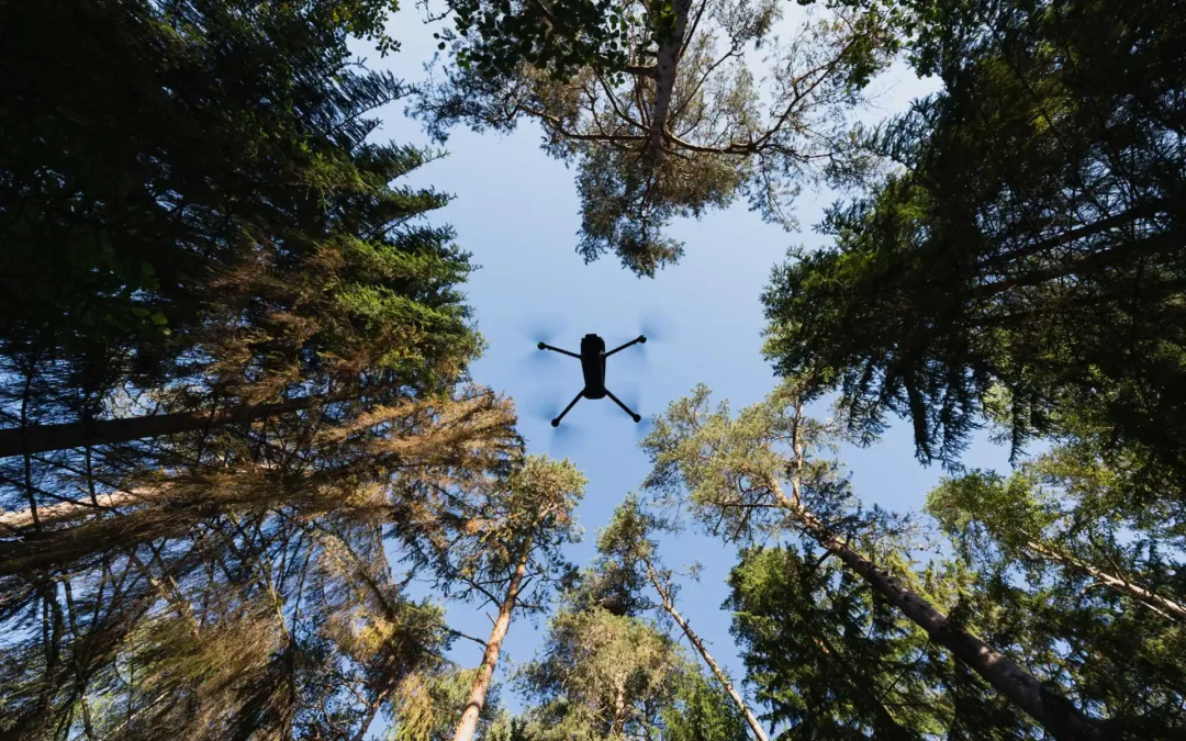Lunchwebbinarium om smart teknik i skogen
