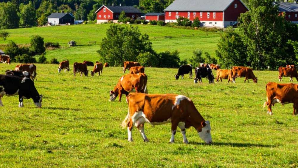 Klimatsmarta investeringar