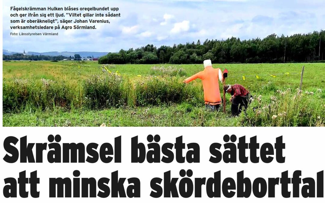 20250724-ATL artikel om RIMS