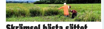20250724-ATL artikel om RIMS